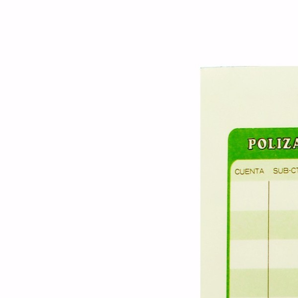 POLIZA DE DIARIO 1001 PRINTAFORM CTA. 50H.E. 3 C.48